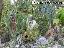 [P34]  -- <small>// FĂRĂ DESCRIERE</small> » foto by Anduise
 - 
<span class="allrVoted glyphicon glyphicon-heart hidden" id="av62701"></span>
<a class="m-l-10 hidden" id="sv62701" onclick="voting_Foto_DelVot(,62701,8)" role="button">șterge vot <span class="glyphicon glyphicon-remove"></span></a>
<a id="v962701" class=" c-red"  onclick="voting_Foto_SetVot(62701)" role="button"><span class="glyphicon glyphicon-heart-empty"></span> <b>LIKE</b> = Votează poza</a> <img class="hidden"  id="f62701W9" src="/imagini/loader.gif" border="0" /><span class="AjErrMes hidden" id="e62701ErM"></span>