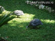[P13]  -- <small>// FĂRĂ DESCRIERE</small> » foto by jpg29*
 - 
<span class="allrVoted glyphicon glyphicon-heart hidden" id="av93547"></span>
<a class="m-l-10 hidden" id="sv93547" onclick="voting_Foto_DelVot(,93547,8)" role="button">șterge vot <span class="glyphicon glyphicon-remove"></span></a>
<a id="v993547" class=" c-red"  onclick="voting_Foto_SetVot(93547)" role="button"><span class="glyphicon glyphicon-heart-empty"></span> <b>LIKE</b> = Votează poza</a> <img class="hidden"  id="f93547W9" src="/imagini/loader.gif" border="0" /><span class="AjErrMes hidden" id="e93547ErM"></span>
