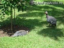 [P04]  -- <small>// FĂRĂ DESCRIERE</small> » foto by jpg29*
 - 
<span class="allrVoted glyphicon glyphicon-heart hidden" id="av80932"></span>
<a class="m-l-10 hidden" id="sv80932" onclick="voting_Foto_DelVot(,80932,8)" role="button">șterge vot <span class="glyphicon glyphicon-remove"></span></a>
<a id="v980932" class=" c-red"  onclick="voting_Foto_SetVot(80932)" role="button"><span class="glyphicon glyphicon-heart-empty"></span> <b>LIKE</b> = Votează poza</a> <img class="hidden"  id="f80932W9" src="/imagini/loader.gif" border="0" /><span class="AjErrMes hidden" id="e80932ErM"></span>