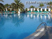 [P08]  -- <small>// FĂRĂ DESCRIERE</small> » foto by jpg29*
 - 
<span class="allrVoted glyphicon glyphicon-heart hidden" id="av80936"></span>
<a class="m-l-10 hidden" id="sv80936" onclick="voting_Foto_DelVot(,80936,8)" role="button">șterge vot <span class="glyphicon glyphicon-remove"></span></a>
<a id="v980936" class=" c-red"  onclick="voting_Foto_SetVot(80936)" role="button"><span class="glyphicon glyphicon-heart-empty"></span> <b>LIKE</b> = Votează poza</a> <img class="hidden"  id="f80936W9" src="/imagini/loader.gif" border="0" /><span class="AjErrMes hidden" id="e80936ErM"></span>