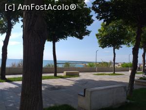 [P13] poza de pe faleza din fata hotelului » foto by papalito
 - 
<span class="allrVoted glyphicon glyphicon-heart hidden" id="av1173521"></span>
<a class="m-l-10 hidden" id="sv1173521" onclick="voting_Foto_DelVot(,1173521,806)" role="button">șterge vot <span class="glyphicon glyphicon-remove"></span></a>
<a id="v91173521" class=" c-red"  onclick="voting_Foto_SetVot(1173521)" role="button"><span class="glyphicon glyphicon-heart-empty"></span> <b>LIKE</b> = Votează poza</a> <img class="hidden"  id="f1173521W9" src="/imagini/loader.gif" border="0" /><span class="AjErrMes hidden" id="e1173521ErM"></span>