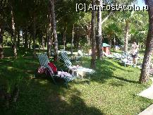 [P02] Langa piscina de copii » foto by puisorul
 - 
<span class="allrVoted glyphicon glyphicon-heart hidden" id="av10072"></span>
<a class="m-l-10 hidden" id="sv10072" onclick="voting_Foto_DelVot(,10072,81)" role="button">șterge vot <span class="glyphicon glyphicon-remove"></span></a>
<a id="v910072" class=" c-red"  onclick="voting_Foto_SetVot(10072)" role="button"><span class="glyphicon glyphicon-heart-empty"></span> <b>LIKE</b> = Votează poza</a> <img class="hidden"  id="f10072W9" src="/imagini/loader.gif" border="0" /><span class="AjErrMes hidden" id="e10072ErM"></span>