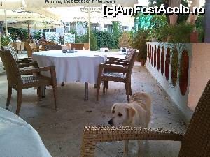 [P12] Ca orice restaurant cu terasă care 'se respectă', restaurantul Doina are 'clienții' lui, fideli :D.  » foto by corneliam
 - 
<span class="allrVoted glyphicon glyphicon-heart hidden" id="av677002"></span>
<a class="m-l-10 hidden" id="sv677002" onclick="voting_Foto_DelVot(,677002,811)" role="button">șterge vot <span class="glyphicon glyphicon-remove"></span></a>
<a id="v9677002" class=" c-red"  onclick="voting_Foto_SetVot(677002)" role="button"><span class="glyphicon glyphicon-heart-empty"></span> <b>LIKE</b> = Votează poza</a> <img class="hidden"  id="f677002W9" src="/imagini/loader.gif" border="0" /><span class="AjErrMes hidden" id="e677002ErM"></span>