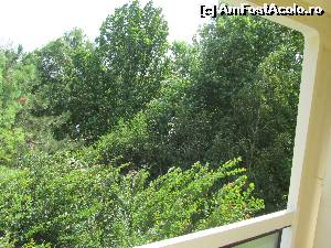 [P13] Vedere de la balcon... Numai pomi... Ruşine, Primăria Mangalia!...  » foto by Neptunus
 - 
<span class="allrVoted glyphicon glyphicon-heart hidden" id="av541992"></span>
<a class="m-l-10 hidden" id="sv541992" onclick="voting_Foto_DelVot(,541992,820)" role="button">șterge vot <span class="glyphicon glyphicon-remove"></span></a>
<a id="v9541992" class=" c-red"  onclick="voting_Foto_SetVot(541992)" role="button"><span class="glyphicon glyphicon-heart-empty"></span> <b>LIKE</b> = Votează poza</a> <img class="hidden"  id="f541992W9" src="/imagini/loader.gif" border="0" /><span class="AjErrMes hidden" id="e541992ErM"></span>