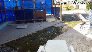 [P11] Matasea broastei in loc de jacuzzi.  » foto by da vinci
 - 
<span class="allrVoted glyphicon glyphicon-heart hidden" id="av643621"></span>
<a class="m-l-10 hidden" id="sv643621" onclick="voting_Foto_DelVot(,643621,837)" role="button">șterge vot <span class="glyphicon glyphicon-remove"></span></a>
<a id="v9643621" class=" c-red"  onclick="voting_Foto_SetVot(643621)" role="button"><span class="glyphicon glyphicon-heart-empty"></span> <b>LIKE</b> = Votează poza</a> <img class="hidden"  id="f643621W9" src="/imagini/loader.gif" border="0" /><span class="AjErrMes hidden" id="e643621ErM"></span>