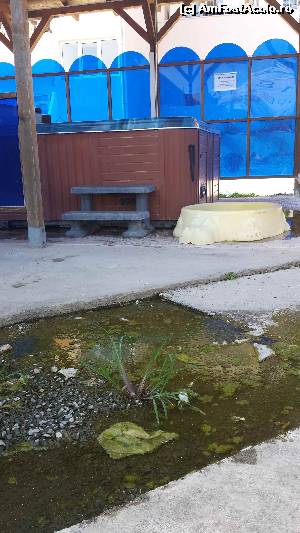 [P09] INFECTIE langa piscina si jacuzzi.  » foto by da vinci
 - 
<span class="allrVoted glyphicon glyphicon-heart hidden" id="av643614"></span>
<a class="m-l-10 hidden" id="sv643614" onclick="voting_Foto_DelVot(,643614,837)" role="button">șterge vot <span class="glyphicon glyphicon-remove"></span></a>
<a id="v9643614" class=" c-red"  onclick="voting_Foto_SetVot(643614)" role="button"><span class="glyphicon glyphicon-heart-empty"></span> <b>LIKE</b> = Votează poza</a> <img class="hidden"  id="f643614W9" src="/imagini/loader.gif" border="0" /><span class="AjErrMes hidden" id="e643614ErM"></span>