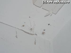 [P06]  -- <small>// FĂRĂ DESCRIERE</small> » foto by dj_bcm
 - 
<span class="allrVoted glyphicon glyphicon-heart hidden" id="av541210"></span>
<a class="m-l-10 hidden" id="sv541210" onclick="voting_Foto_DelVot(,541210,837)" role="button">șterge vot <span class="glyphicon glyphicon-remove"></span></a>
<a id="v9541210" class=" c-red"  onclick="voting_Foto_SetVot(541210)" role="button"><span class="glyphicon glyphicon-heart-empty"></span> <b>LIKE</b> = Votează poza</a> <img class="hidden"  id="f541210W9" src="/imagini/loader.gif" border="0" /><span class="AjErrMes hidden" id="e541210ErM"></span>