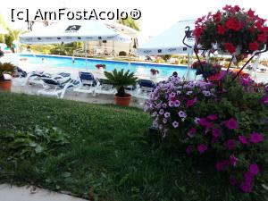 [P17] Hotel Afrodita - piscina » foto by Dragoș_MD
 - 
<span class="allrVoted glyphicon glyphicon-heart hidden" id="av1011240"></span>
<a class="m-l-10 hidden" id="sv1011240" onclick="voting_Foto_DelVot(,1011240,839)" role="button">șterge vot <span class="glyphicon glyphicon-remove"></span></a>
<a id="v91011240" class=" c-red"  onclick="voting_Foto_SetVot(1011240)" role="button"><span class="glyphicon glyphicon-heart-empty"></span> <b>LIKE</b> = Votează poza</a> <img class="hidden"  id="f1011240W9" src="/imagini/loader.gif" border="0" /><span class="AjErrMes hidden" id="e1011240ErM"></span>