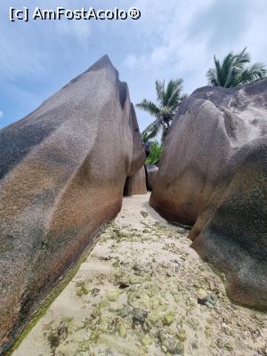 [P19] Anse Source d'Argent Beach » foto by robert
 - 
<span class="allrVoted glyphicon glyphicon-heart hidden" id="av1367497"></span>
<a class="m-l-10 hidden" id="sv1367497" onclick="voting_Foto_DelVot(,1367497,847)" role="button">șterge vot <span class="glyphicon glyphicon-remove"></span></a>
<a id="v91367497" class=" c-red"  onclick="voting_Foto_SetVot(1367497)" role="button"><span class="glyphicon glyphicon-heart-empty"></span> <b>LIKE</b> = Votează poza</a> <img class="hidden"  id="f1367497W9" src="/imagini/loader.gif" border="0" /><span class="AjErrMes hidden" id="e1367497ErM"></span>