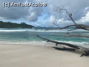 [P31] Anse Cocos » foto by Roxelly
 - 
<span class="allrVoted glyphicon glyphicon-heart hidden" id="av1313713"></span>
<a class="m-l-10 hidden" id="sv1313713" onclick="voting_Foto_DelVot(,1313713,847)" role="button">șterge vot <span class="glyphicon glyphicon-remove"></span></a>
<a id="v91313713" class=" c-red"  onclick="voting_Foto_SetVot(1313713)" role="button"><span class="glyphicon glyphicon-heart-empty"></span> <b>LIKE</b> = Votează poza</a> <img class="hidden"  id="f1313713W9" src="/imagini/loader.gif" border="0" /><span class="AjErrMes hidden" id="e1313713ErM"></span>