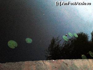 [P05] tot lacul Razelm. Nu sunt prea multi nuferi, dupa cum se vede » foto by donna77
 - 
<span class="allrVoted glyphicon glyphicon-heart hidden" id="av530911"></span>
<a class="m-l-10 hidden" id="sv530911" onclick="voting_Foto_DelVot(,530911,848)" role="button">șterge vot <span class="glyphicon glyphicon-remove"></span></a>
<a id="v9530911" class=" c-red"  onclick="voting_Foto_SetVot(530911)" role="button"><span class="glyphicon glyphicon-heart-empty"></span> <b>LIKE</b> = Votează poza</a> <img class="hidden"  id="f530911W9" src="/imagini/loader.gif" border="0" /><span class="AjErrMes hidden" id="e530911ErM"></span>
