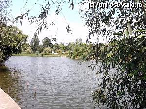 [P09] Lacul Razelm, pe stanga e terasa.  » foto by donna77
 - 
<span class="allrVoted glyphicon glyphicon-heart hidden" id="av530916"></span>
<a class="m-l-10 hidden" id="sv530916" onclick="voting_Foto_DelVot(,530916,848)" role="button">șterge vot <span class="glyphicon glyphicon-remove"></span></a>
<a id="v9530916" class=" c-red"  onclick="voting_Foto_SetVot(530916)" role="button"><span class="glyphicon glyphicon-heart-empty"></span> <b>LIKE</b> = Votează poza</a> <img class="hidden"  id="f530916W9" src="/imagini/loader.gif" border="0" /><span class="AjErrMes hidden" id="e530916ErM"></span>
