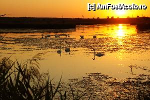 [P13] Apus de soare pe lacul ce invecineaza hotelul » foto by nicugafiuc
 - 
<span class="allrVoted glyphicon glyphicon-heart hidden" id="av473457"></span>
<a class="m-l-10 hidden" id="sv473457" onclick="voting_Foto_DelVot(,473457,852)" role="button">șterge vot <span class="glyphicon glyphicon-remove"></span></a>
<a id="v9473457" class=" c-red"  onclick="voting_Foto_SetVot(473457)" role="button"><span class="glyphicon glyphicon-heart-empty"></span> <b>LIKE</b> = Votează poza</a> <img class="hidden"  id="f473457W9" src="/imagini/loader.gif" border="0" /><span class="AjErrMes hidden" id="e473457ErM"></span>