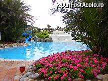[P19] Muscate. In fundal dreapta terasa Pamukkale, in stanga un colt de topogan » foto by MCM
 - 
<span class="allrVoted glyphicon glyphicon-heart hidden" id="av332709"></span>
<a class="m-l-10 hidden" id="sv332709" onclick="voting_Foto_DelVot(,332709,86)" role="button">șterge vot <span class="glyphicon glyphicon-remove"></span></a>
<a id="v9332709" class=" c-red"  onclick="voting_Foto_SetVot(332709)" role="button"><span class="glyphicon glyphicon-heart-empty"></span> <b>LIKE</b> = Votează poza</a> <img class="hidden"  id="f332709W9" src="/imagini/loader.gif" border="0" /><span class="AjErrMes hidden" id="e332709ErM"></span>