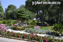 [P52] Uite ce frumos. Chiar mi-a placut. Toate erau aliniate, atent studiate si aranjate. Tot resortul era un parc frumos » foto by MCM
 - 
<span class="allrVoted glyphicon glyphicon-heart hidden" id="av332820"></span>
<a class="m-l-10 hidden" id="sv332820" onclick="voting_Foto_DelVot(,332820,86)" role="button">șterge vot <span class="glyphicon glyphicon-remove"></span></a>
<a id="v9332820" class=" c-red"  onclick="voting_Foto_SetVot(332820)" role="button"><span class="glyphicon glyphicon-heart-empty"></span> <b>LIKE</b> = Votează poza</a> <img class="hidden"  id="f332820W9" src="/imagini/loader.gif" border="0" /><span class="AjErrMes hidden" id="e332820ErM"></span>