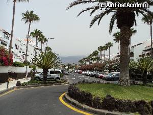 [P01] Playa de las Americas - Hotelul La Siesta. Cum ne-am cazat mergem la hotel Vulcano sa ne intalnim cu reprezentantul agentiei, sa ne prezinte programul.  » foto by vega06
 - 
<span class="allrVoted glyphicon glyphicon-heart hidden" id="av573057"></span>
<a class="m-l-10 hidden" id="sv573057" onclick="voting_Foto_DelVot(,573057,871)" role="button">șterge vot <span class="glyphicon glyphicon-remove"></span></a>
<a id="v9573057" class=" c-red"  onclick="voting_Foto_SetVot(573057)" role="button"><span class="glyphicon glyphicon-heart-empty"></span> <b>LIKE</b> = Votează poza</a> <img class="hidden"  id="f573057W9" src="/imagini/loader.gif" border="0" /><span class="AjErrMes hidden" id="e573057ErM"></span>
