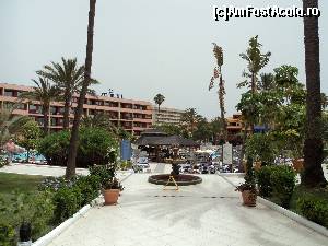 [P36] Playa de las Americas - Hotelul La Siesta. Pe aleea asta in stanga puteai sa intri in holul hotelului si in dreapta era mica terasa unde se organiza programul de seara.  » foto by vega06
 - 
<span class="allrVoted glyphicon glyphicon-heart hidden" id="av573093"></span>
<a class="m-l-10 hidden" id="sv573093" onclick="voting_Foto_DelVot(,573093,871)" role="button">șterge vot <span class="glyphicon glyphicon-remove"></span></a>
<a id="v9573093" class=" c-red"  onclick="voting_Foto_SetVot(573093)" role="button"><span class="glyphicon glyphicon-heart-empty"></span> <b>LIKE</b> = Votează poza</a> <img class="hidden"  id="f573093W9" src="/imagini/loader.gif" border="0" /><span class="AjErrMes hidden" id="e573093ErM"></span>