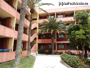 [P37] Playa de las Americas - Hotelul La Siesta. Tot aleea de langa piscine.  » foto by vega06
 - 
<span class="allrVoted glyphicon glyphicon-heart hidden" id="av573094"></span>
<a class="m-l-10 hidden" id="sv573094" onclick="voting_Foto_DelVot(,573094,871)" role="button">șterge vot <span class="glyphicon glyphicon-remove"></span></a>
<a id="v9573094" class=" c-red"  onclick="voting_Foto_SetVot(573094)" role="button"><span class="glyphicon glyphicon-heart-empty"></span> <b>LIKE</b> = Votează poza</a> <img class="hidden"  id="f573094W9" src="/imagini/loader.gif" border="0" /><span class="AjErrMes hidden" id="e573094ErM"></span>