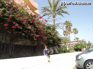 [P39] Playa de las Americas - Hotelul La Siesta.  » foto by vega06
 - 
<span class="allrVoted glyphicon glyphicon-heart hidden" id="av573096"></span>
<a class="m-l-10 hidden" id="sv573096" onclick="voting_Foto_DelVot(,573096,871)" role="button">șterge vot <span class="glyphicon glyphicon-remove"></span></a>
<a id="v9573096" class=" c-red"  onclick="voting_Foto_SetVot(573096)" role="button"><span class="glyphicon glyphicon-heart-empty"></span> <b>LIKE</b> = Votează poza</a> <img class="hidden"  id="f573096W9" src="/imagini/loader.gif" border="0" /><span class="AjErrMes hidden" id="e573096ErM"></span>