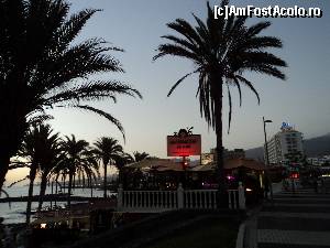 [P40] Playa de las Americas - Hotelul La Siesta. Suntem pe Veronicas Strip.  » foto by vega06
 - 
<span class="allrVoted glyphicon glyphicon-heart hidden" id="av573097"></span>
<a class="m-l-10 hidden" id="sv573097" onclick="voting_Foto_DelVot(,573097,871)" role="button">șterge vot <span class="glyphicon glyphicon-remove"></span></a>
<a id="v9573097" class=" c-red"  onclick="voting_Foto_SetVot(573097)" role="button"><span class="glyphicon glyphicon-heart-empty"></span> <b>LIKE</b> = Votează poza</a> <img class="hidden"  id="f573097W9" src="/imagini/loader.gif" border="0" /><span class="AjErrMes hidden" id="e573097ErM"></span>