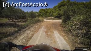 [P24] Offroad spre Navagio » foto by webSorin
 - 
<span class="allrVoted glyphicon glyphicon-heart hidden" id="av1118399"></span>
<a class="m-l-10 hidden" id="sv1118399" onclick="voting_Foto_DelVot(,1118399,872)" role="button">șterge vot <span class="glyphicon glyphicon-remove"></span></a>
<a id="v91118399" class=" c-red"  onclick="voting_Foto_SetVot(1118399)" role="button"><span class="glyphicon glyphicon-heart-empty"></span> <b>LIKE</b> = Votează poza</a> <img class="hidden"  id="f1118399W9" src="/imagini/loader.gif" border="0" /><span class="AjErrMes hidden" id="e1118399ErM"></span>
