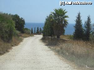 [P05] Zakynthos-pe drum spre Dafni Beach » foto by luciaoradea
 - 
<span class="allrVoted glyphicon glyphicon-heart hidden" id="av684141"></span>
<a class="m-l-10 hidden" id="sv684141" onclick="voting_Foto_DelVot(,684141,872)" role="button">șterge vot <span class="glyphicon glyphicon-remove"></span></a>
<a id="v9684141" class=" c-red"  onclick="voting_Foto_SetVot(684141)" role="button"><span class="glyphicon glyphicon-heart-empty"></span> <b>LIKE</b> = Votează poza</a> <img class="hidden"  id="f684141W9" src="/imagini/loader.gif" border="0" /><span class="AjErrMes hidden" id="e684141ErM"></span>
