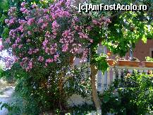 [P14] Leandrul-gardian superb si exuberant al casutelor grecesti » foto by Analitik*
 - 
<span class="allrVoted glyphicon glyphicon-heart hidden" id="av116144"></span>
<a class="m-l-10 hidden" id="sv116144" onclick="voting_Foto_DelVot(,116144,872)" role="button">șterge vot <span class="glyphicon glyphicon-remove"></span></a>
<a id="v9116144" class=" c-red"  onclick="voting_Foto_SetVot(116144)" role="button"><span class="glyphicon glyphicon-heart-empty"></span> <b>LIKE</b> = Votează poza</a> <img class="hidden"  id="f116144W9" src="/imagini/loader.gif" border="0" /><span class="AjErrMes hidden" id="e116144ErM"></span>