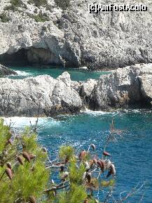 [P26] un crampei de paradis in Limnionas » foto by nicoletass
 - 
<span class="allrVoted glyphicon glyphicon-heart hidden" id="av179323"></span>
<a class="m-l-10 hidden" id="sv179323" onclick="voting_Foto_DelVot(,179323,872)" role="button">șterge vot <span class="glyphicon glyphicon-remove"></span></a>
<a id="v9179323" class=" c-red"  onclick="voting_Foto_SetVot(179323)" role="button"><span class="glyphicon glyphicon-heart-empty"></span> <b>LIKE</b> = Votează poza</a> <img class="hidden"  id="f179323W9" src="/imagini/loader.gif" border="0" /><span class="AjErrMes hidden" id="e179323ErM"></span>
