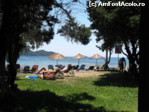 [P08] Plaja Dafni, cu sezlonguri printre copaci pe iarba. In nisip sunt cuiburi de testoase » foto by bbogdanmircea
 - 
<span class="allrVoted glyphicon glyphicon-heart hidden" id="av553261"></span>
<a class="m-l-10 hidden" id="sv553261" onclick="voting_Foto_DelVot(,553261,872)" role="button">șterge vot <span class="glyphicon glyphicon-remove"></span></a>
<a id="v9553261" class=" c-red"  onclick="voting_Foto_SetVot(553261)" role="button"><span class="glyphicon glyphicon-heart-empty"></span> <b>LIKE</b> = Votează poza</a> <img class="hidden"  id="f553261W9" src="/imagini/loader.gif" border="0" /><span class="AjErrMes hidden" id="e553261ErM"></span>