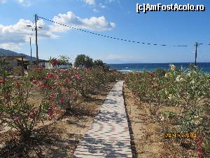 [P10] intrare la Banana Beach, Zakinthos » foto by nico_sara
 - 
<span class="allrVoted glyphicon glyphicon-heart hidden" id="av612207"></span>
<a class="m-l-10 hidden" id="sv612207" onclick="voting_Foto_DelVot(,612207,872)" role="button">șterge vot <span class="glyphicon glyphicon-remove"></span></a>
<a id="v9612207" class=" c-red"  onclick="voting_Foto_SetVot(612207)" role="button"><span class="glyphicon glyphicon-heart-empty"></span> <b>LIKE</b> = Votează poza</a> <img class="hidden"  id="f612207W9" src="/imagini/loader.gif" border="0" /><span class="AjErrMes hidden" id="e612207ErM"></span>