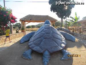 [P21] si la Zakinthos Turtle Rescue Center din Gerakas apusul si florile roz-luminos fac minuni...  » foto by nico_sara
 - 
<span class="allrVoted glyphicon glyphicon-heart hidden" id="av612229"></span>
<a class="m-l-10 hidden" id="sv612229" onclick="voting_Foto_DelVot(,612229,872)" role="button">șterge vot <span class="glyphicon glyphicon-remove"></span></a>
<a id="v9612229" class=" c-red"  onclick="voting_Foto_SetVot(612229)" role="button"><span class="glyphicon glyphicon-heart-empty"></span> <b>LIKE</b> = Votează poza</a> <img class="hidden"  id="f612229W9" src="/imagini/loader.gif" border="0" /><span class="AjErrMes hidden" id="e612229ErM"></span>