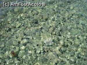 [P64] Arici de mare la Cameo island » foto by adryana
 - 
<span class="allrVoted glyphicon glyphicon-heart hidden" id="av951972"></span>
<a class="m-l-10 hidden" id="sv951972" onclick="voting_Foto_DelVot(,951972,872)" role="button">șterge vot <span class="glyphicon glyphicon-remove"></span></a>
<a id="v9951972" class=" c-red"  onclick="voting_Foto_SetVot(951972)" role="button"><span class="glyphicon glyphicon-heart-empty"></span> <b>LIKE</b> = Votează poza</a> <img class="hidden"  id="f951972W9" src="/imagini/loader.gif" border="0" /><span class="AjErrMes hidden" id="e951972ErM"></span>