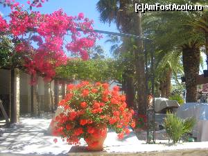 [P07] Ornament floral la intrarea intr-o taverna din Kalamaki » foto by dorgo
 - 
<span class="allrVoted glyphicon glyphicon-heart hidden" id="av620233"></span>
<a class="m-l-10 hidden" id="sv620233" onclick="voting_Foto_DelVot(,620233,872)" role="button">șterge vot <span class="glyphicon glyphicon-remove"></span></a>
<a id="v9620233" class=" c-red"  onclick="voting_Foto_SetVot(620233)" role="button"><span class="glyphicon glyphicon-heart-empty"></span> <b>LIKE</b> = Votează poza</a> <img class="hidden"  id="f620233W9" src="/imagini/loader.gif" border="0" /><span class="AjErrMes hidden" id="e620233ErM"></span>
