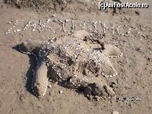 [P40] Aceasta 'broasca testoasa' strivita este singura intalnita de mine in Zakynthos » foto by irinad
 - 
<span class="allrVoted glyphicon glyphicon-heart hidden" id="av600920"></span>
<a class="m-l-10 hidden" id="sv600920" onclick="voting_Foto_DelVot(,600920,872)" role="button">șterge vot <span class="glyphicon glyphicon-remove"></span></a>
<a id="v9600920" class=" c-red"  onclick="voting_Foto_SetVot(600920)" role="button"><span class="glyphicon glyphicon-heart-empty"></span> <b>LIKE</b> = Votează poza</a> <img class="hidden"  id="f600920W9" src="/imagini/loader.gif" border="0" /><span class="AjErrMes hidden" id="e600920ErM"></span>