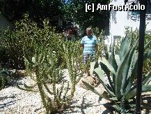 [P23] ... si cactusi » foto by marocanu21
 - 
<span class="allrVoted glyphicon glyphicon-heart hidden" id="av336306"></span>
<a class="m-l-10 hidden" id="sv336306" onclick="voting_Foto_DelVot(,336306,878)" role="button">șterge vot <span class="glyphicon glyphicon-remove"></span></a>
<a id="v9336306" class=" c-red"  onclick="voting_Foto_SetVot(336306)" role="button"><span class="glyphicon glyphicon-heart-empty"></span> <b>LIKE</b> = Votează poza</a> <img class="hidden"  id="f336306W9" src="/imagini/loader.gif" border="0" /><span class="AjErrMes hidden" id="e336306ErM"></span>