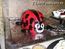 [P07] 'Insecte de bucatarie' » foto by jimbeam70
 - 
<span class="allrVoted glyphicon glyphicon-heart hidden" id="av13492"></span>
<a class="m-l-10 hidden" id="sv13492" onclick="voting_Foto_DelVot(,13492,880)" role="button">șterge vot <span class="glyphicon glyphicon-remove"></span></a>
<a id="v913492" class=" c-red"  onclick="voting_Foto_SetVot(13492)" role="button"><span class="glyphicon glyphicon-heart-empty"></span> <b>LIKE</b> = Votează poza</a> <img class="hidden"  id="f13492W9" src="/imagini/loader.gif" border="0" /><span class="AjErrMes hidden" id="e13492ErM"></span>