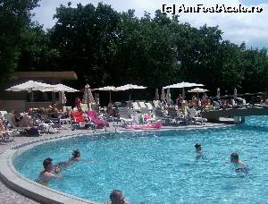 [P11] piscina » foto by titel100
 - 
<span class="allrVoted glyphicon glyphicon-heart hidden" id="av637021"></span>
<a class="m-l-10 hidden" id="sv637021" onclick="voting_Foto_DelVot(,637021,881)" role="button">șterge vot <span class="glyphicon glyphicon-remove"></span></a>
<a id="v9637021" class=" c-red"  onclick="voting_Foto_SetVot(637021)" role="button"><span class="glyphicon glyphicon-heart-empty"></span> <b>LIKE</b> = Votează poza</a> <img class="hidden"  id="f637021W9" src="/imagini/loader.gif" border="0" /><span class="AjErrMes hidden" id="e637021ErM"></span>