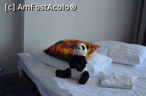 [P55] Panda la odihnă...  » foto by kelyboy
 - 
<span class="allrVoted glyphicon glyphicon-heart hidden" id="av802573"></span>
<a class="m-l-10 hidden" id="sv802573" onclick="voting_Foto_DelVot(,802573,881)" role="button">șterge vot <span class="glyphicon glyphicon-remove"></span></a>
<a id="v9802573" class=" c-red"  onclick="voting_Foto_SetVot(802573)" role="button"><span class="glyphicon glyphicon-heart-empty"></span> <b>LIKE</b> = Votează poza</a> <img class="hidden"  id="f802573W9" src="/imagini/loader.gif" border="0" /><span class="AjErrMes hidden" id="e802573ErM"></span>