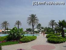 [P19] Spre seara,cand soarele se grabea sa place. » foto by georgiana
 - 
<span class="allrVoted glyphicon glyphicon-heart hidden" id="av81007"></span>
<a class="m-l-10 hidden" id="sv81007" onclick="voting_Foto_DelVot(,81007,89)" role="button">șterge vot <span class="glyphicon glyphicon-remove"></span></a>
<a id="v981007" class=" c-red"  onclick="voting_Foto_SetVot(81007)" role="button"><span class="glyphicon glyphicon-heart-empty"></span> <b>LIKE</b> = Votează poza</a> <img class="hidden"  id="f81007W9" src="/imagini/loader.gif" border="0" /><span class="AjErrMes hidden" id="e81007ErM"></span>