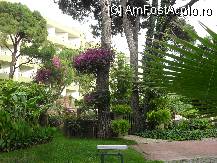 [P26] In spatele hotelului,in gradina. » foto by georgiana
 - 
<span class="allrVoted glyphicon glyphicon-heart hidden" id="av81018"></span>
<a class="m-l-10 hidden" id="sv81018" onclick="voting_Foto_DelVot(,81018,89)" role="button">șterge vot <span class="glyphicon glyphicon-remove"></span></a>
<a id="v981018" class=" c-red"  onclick="voting_Foto_SetVot(81018)" role="button"><span class="glyphicon glyphicon-heart-empty"></span> <b>LIKE</b> = Votează poza</a> <img class="hidden"  id="f81018W9" src="/imagini/loader.gif" border="0" /><span class="AjErrMes hidden" id="e81018ErM"></span>