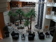 [P30] Palmierii acestia erau de efect,dar sa nu va imaginati cumva ca ar fi naturali! » foto by georgiana
 - 
<span class="allrVoted glyphicon glyphicon-heart hidden" id="av81022"></span>
<a class="m-l-10 hidden" id="sv81022" onclick="voting_Foto_DelVot(,81022,89)" role="button">șterge vot <span class="glyphicon glyphicon-remove"></span></a>
<a id="v981022" class=" c-red"  onclick="voting_Foto_SetVot(81022)" role="button"><span class="glyphicon glyphicon-heart-empty"></span> <b>LIKE</b> = Votează poza</a> <img class="hidden"  id="f81022W9" src="/imagini/loader.gif" border="0" /><span class="AjErrMes hidden" id="e81022ErM"></span>