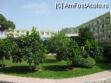 [P31] Hotelul » foto by georgiana
 - 
<span class="allrVoted glyphicon glyphicon-heart hidden" id="av81023"></span>
<a class="m-l-10 hidden" id="sv81023" onclick="voting_Foto_DelVot(,81023,89)" role="button">șterge vot <span class="glyphicon glyphicon-remove"></span></a>
<a id="v981023" class=" c-red"  onclick="voting_Foto_SetVot(81023)" role="button"><span class="glyphicon glyphicon-heart-empty"></span> <b>LIKE</b> = Votează poza</a> <img class="hidden"  id="f81023W9" src="/imagini/loader.gif" border="0" /><span class="AjErrMes hidden" id="e81023ErM"></span>