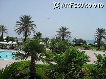 [P34] Vegetatie in preajma hotelului. » foto by georgiana
 - 
<span class="allrVoted glyphicon glyphicon-heart hidden" id="av81031"></span>
<a class="m-l-10 hidden" id="sv81031" onclick="voting_Foto_DelVot(,81031,89)" role="button">șterge vot <span class="glyphicon glyphicon-remove"></span></a>
<a id="v981031" class=" c-red"  onclick="voting_Foto_SetVot(81031)" role="button"><span class="glyphicon glyphicon-heart-empty"></span> <b>LIKE</b> = Votează poza</a> <img class="hidden"  id="f81031W9" src="/imagini/loader.gif" border="0" /><span class="AjErrMes hidden" id="e81031ErM"></span>