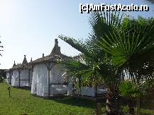 [P48] Corturile Vip » foto by georgiana
 - 
<span class="allrVoted glyphicon glyphicon-heart hidden" id="av81099"></span>
<a class="m-l-10 hidden" id="sv81099" onclick="voting_Foto_DelVot(,81099,89)" role="button">șterge vot <span class="glyphicon glyphicon-remove"></span></a>
<a id="v981099" class=" c-red"  onclick="voting_Foto_SetVot(81099)" role="button"><span class="glyphicon glyphicon-heart-empty"></span> <b>LIKE</b> = Votează poza</a> <img class="hidden"  id="f81099W9" src="/imagini/loader.gif" border="0" /><span class="AjErrMes hidden" id="e81099ErM"></span>