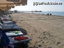 [P51] Se observa cat de curata era plaja,cum nivelase nisipul. » foto by georgiana
 - 
<span class="allrVoted glyphicon glyphicon-heart hidden" id="av81102"></span>
<a class="m-l-10 hidden" id="sv81102" onclick="voting_Foto_DelVot(,81102,89)" role="button">șterge vot <span class="glyphicon glyphicon-remove"></span></a>
<a id="v981102" class=" c-red"  onclick="voting_Foto_SetVot(81102)" role="button"><span class="glyphicon glyphicon-heart-empty"></span> <b>LIKE</b> = Votează poza</a> <img class="hidden"  id="f81102W9" src="/imagini/loader.gif" border="0" /><span class="AjErrMes hidden" id="e81102ErM"></span>