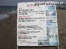 [P65] Preturi... » foto by georgiana
 - 
<span class="allrVoted glyphicon glyphicon-heart hidden" id="av81116"></span>
<a class="m-l-10 hidden" id="sv81116" onclick="voting_Foto_DelVot(,81116,89)" role="button">șterge vot <span class="glyphicon glyphicon-remove"></span></a>
<a id="v981116" class=" c-red"  onclick="voting_Foto_SetVot(81116)" role="button"><span class="glyphicon glyphicon-heart-empty"></span> <b>LIKE</b> = Votează poza</a> <img class="hidden"  id="f81116W9" src="/imagini/loader.gif" border="0" /><span class="AjErrMes hidden" id="e81116ErM"></span>