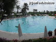 [P79] Una din piscine » foto by georgiana
 - 
<span class="allrVoted glyphicon glyphicon-heart hidden" id="av81237"></span>
<a class="m-l-10 hidden" id="sv81237" onclick="voting_Foto_DelVot(,81237,89)" role="button">șterge vot <span class="glyphicon glyphicon-remove"></span></a>
<a id="v981237" class=" c-red"  onclick="voting_Foto_SetVot(81237)" role="button"><span class="glyphicon glyphicon-heart-empty"></span> <b>LIKE</b> = Votează poza</a> <img class="hidden"  id="f81237W9" src="/imagini/loader.gif" border="0" /><span class="AjErrMes hidden" id="e81237ErM"></span>