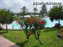 [P83] Piscina vazuta dintr-un capat al gradinii » foto by georgiana
 - 
<span class="allrVoted glyphicon glyphicon-heart hidden" id="av81241"></span>
<a class="m-l-10 hidden" id="sv81241" onclick="voting_Foto_DelVot(,81241,89)" role="button">șterge vot <span class="glyphicon glyphicon-remove"></span></a>
<a id="v981241" class=" c-red"  onclick="voting_Foto_SetVot(81241)" role="button"><span class="glyphicon glyphicon-heart-empty"></span> <b>LIKE</b> = Votează poza</a> <img class="hidden"  id="f81241W9" src="/imagini/loader.gif" border="0" /><span class="AjErrMes hidden" id="e81241ErM"></span>