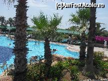 [P87] Printre palmieri. » foto by georgiana
 - 
<span class="allrVoted glyphicon glyphicon-heart hidden" id="av81245"></span>
<a class="m-l-10 hidden" id="sv81245" onclick="voting_Foto_DelVot(,81245,89)" role="button">șterge vot <span class="glyphicon glyphicon-remove"></span></a>
<a id="v981245" class=" c-red"  onclick="voting_Foto_SetVot(81245)" role="button"><span class="glyphicon glyphicon-heart-empty"></span> <b>LIKE</b> = Votează poza</a> <img class="hidden"  id="f81245W9" src="/imagini/loader.gif" border="0" /><span class="AjErrMes hidden" id="e81245ErM"></span>