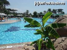 [P96] Piscina,din alt unghi. » foto by georgiana
 - 
<span class="allrVoted glyphicon glyphicon-heart hidden" id="av81254"></span>
<a class="m-l-10 hidden" id="sv81254" onclick="voting_Foto_DelVot(,81254,89)" role="button">șterge vot <span class="glyphicon glyphicon-remove"></span></a>
<a id="v981254" class=" c-red"  onclick="voting_Foto_SetVot(81254)" role="button"><span class="glyphicon glyphicon-heart-empty"></span> <b>LIKE</b> = Votează poza</a> <img class="hidden"  id="f81254W9" src="/imagini/loader.gif" border="0" /><span class="AjErrMes hidden" id="e81254ErM"></span>